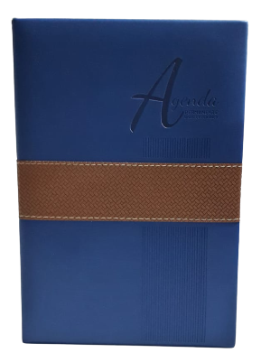 AGENDA AG-2110-AP POINTER